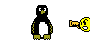 pinguinomuerto1